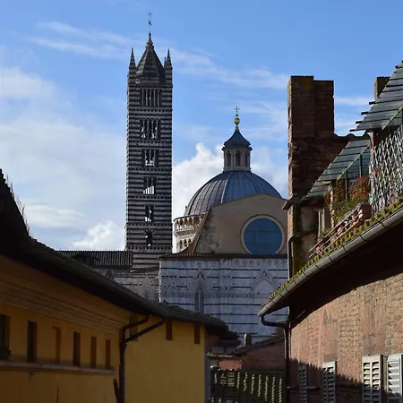 Centro, Civetta Siena