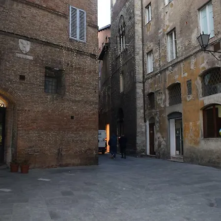 Centro, Civetta *
