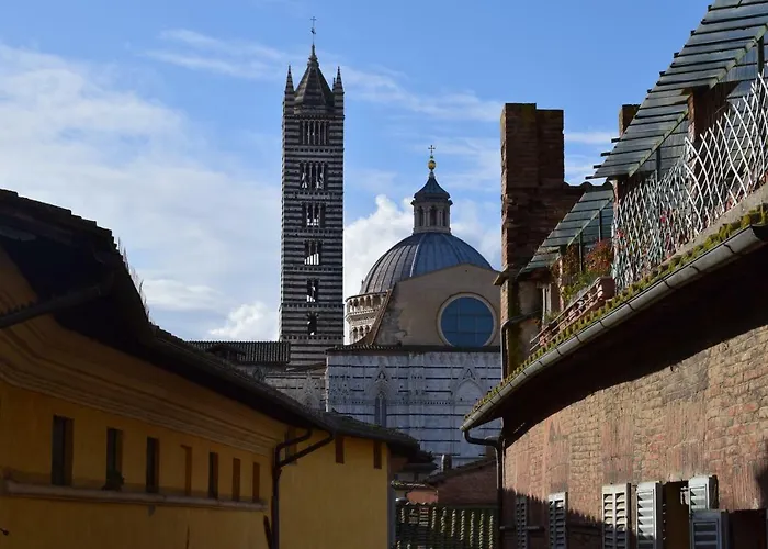 Centro, Civetta Sienne